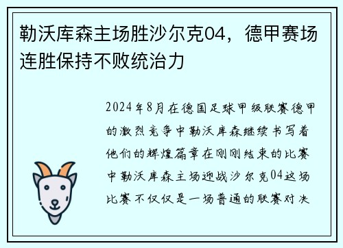 勒沃库森主场胜沙尔克04，德甲赛场连胜保持不败统治力