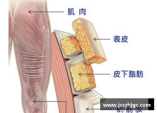 开云电子官方网站NBA肘部肌肉及韧带损伤的治疗与康复策略 - 副本