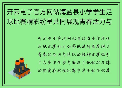 开云电子官方网站海盐县小学学生足球比赛精彩纷呈共同展现青春活力与团队精神